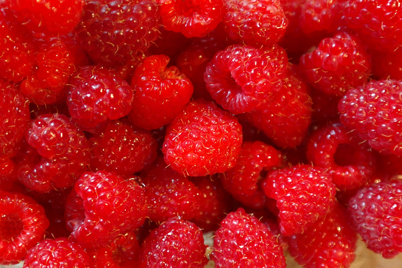 raspberries, fruit, berry-227976.jpg